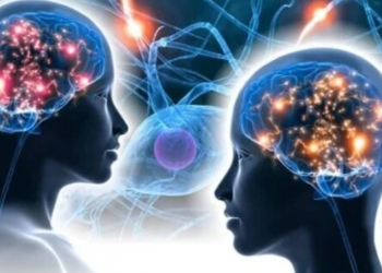 L’intelligence émotionnel au travail l Drh.ma