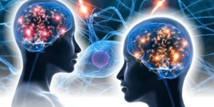 L’intelligence émotionnel au travail l Drh.ma
