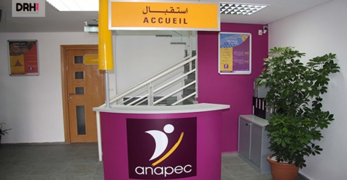 Publication du Rapport Annuel de la Cour des Comptes 2022- 2023 : Implications pour l’ANAPEC au Maroc