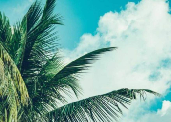 Garantir la continuité des services RH pendant les vacances d’été
