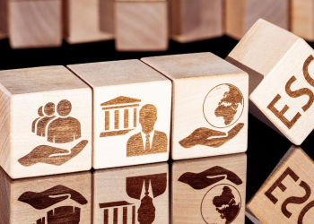 Intégration des critères ESG dans les politiques RH : étude de cas des entreprises leaders