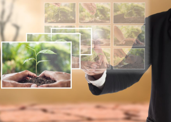 Gestion des ressources naturelles : une priorité pour les entreprises