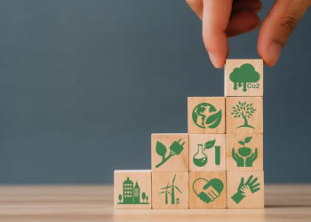 Les Labels RH : catalyseurs de la responsabilité sociétale des entreprises