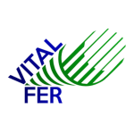 VITAL FER