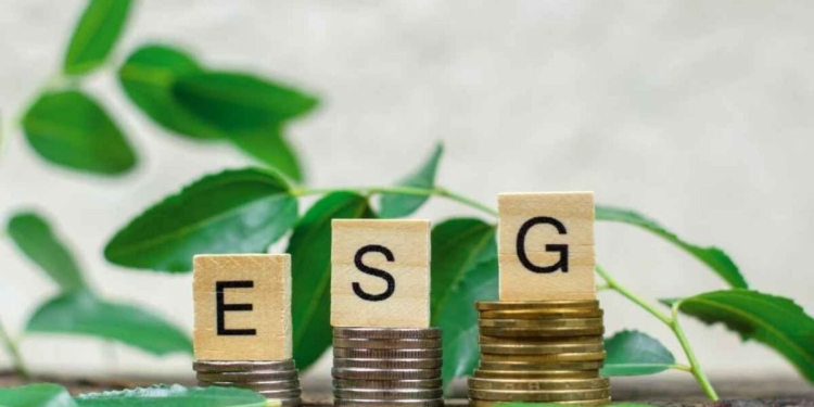 ESG en entreprise un levier immédiat pour financer, recruter et structurer sa croissance l DRH.ma