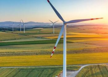 Éolien : le groupe chinois Daosheng Tianhe choisit Nador pour viser le marché européen l DRH.ma