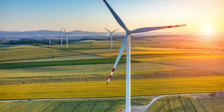 Éolien : le groupe chinois Daosheng Tianhe choisit Nador pour viser le marché européen l DRH.ma