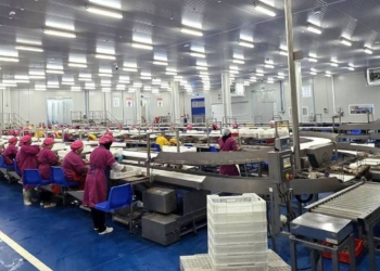 Gaictech et Tunamax lancent une conserverie de thon de 15 000 tonnes et 50 millions de boîtes par an l DRH.ma