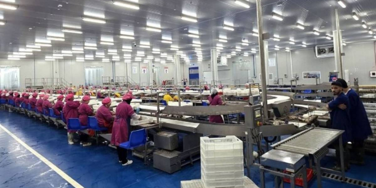 Gaictech et Tunamax lancent une conserverie de thon de 15 000 tonnes et 50 millions de boîtes par an l DRH.ma