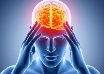 Quand l’usage de l’IA conduit au « Brain Fry » l DRH.ma