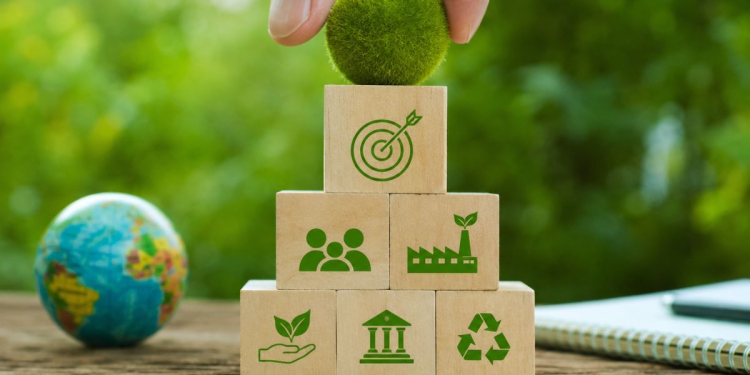 Transition écologique et compétences : le guide RH pour piloter la transition juste l DRH.ma