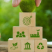 Transition écologique et compétences : le guide RH pour piloter la transition juste l DRH.ma
