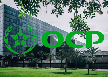 OCP : quand le géant du phosphate asphyxie son écosystème industriel
